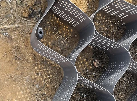 Υφή Geocell Pavers